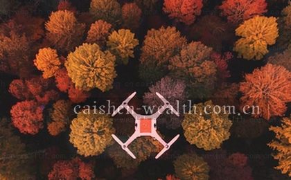 照片中数据曲线从低谷跃升至红色箭头标记的峰值。